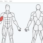 特定の筋肉のためのエクササイズを教えてくれる「MuscleWiki」