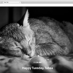 Google Chromeの新しいタブにPinterestの写真を表示できる拡張機能「Pinterestタブ」
