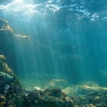2030年までに海中の酸素レベルが著しく減ってしまう可能性