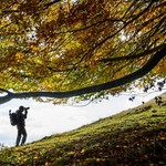 一眼やスマホで紅葉を綺麗・鮮やかに撮るなら「PLフィルター」の使用がオススメほか〜木曜のライフハック記事まとめ