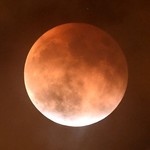 明日、68年ぶりの特大満月「スーパームーン」を最高に美しく撮影する方法