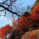東京近郊の綺麗な紅葉の名所44選ほか〜木曜のライフハック記事まとめ