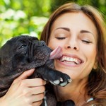 犬に顔をなめさせない方が良い理由