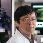 「近赤外線でがん細胞が1日で消滅、転移も治す」驚きのがん治療法を開発したのは日本人研究者！
