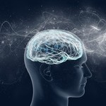 科学的に実証された「お金をかけずに頭の働きを良くするツール」