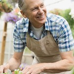 家庭菜園では「友達になる植物」も植えた方がいい理由