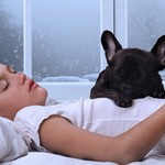 冬の朝起きれない人へ、スッキリ起きられる11の目覚ましテクニック・習慣ほか〜木曜のライフハック記事まとめ