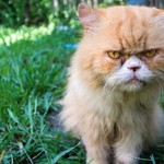 愚痴を言ってもネガティブにならないようにする1つの工夫