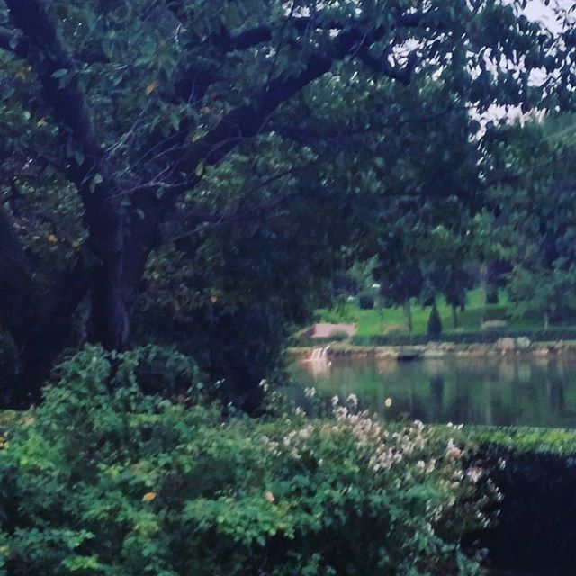 #passeggiata#del#Giappone#R...